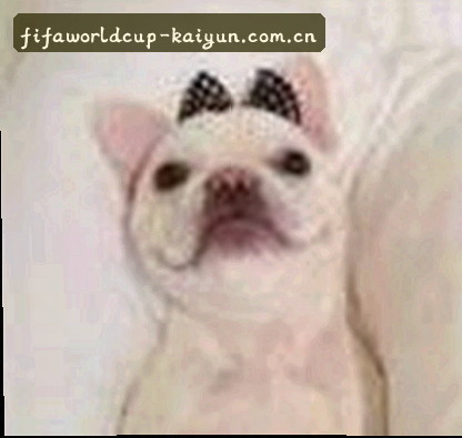 刘锐